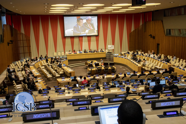 ICSB Council 2019