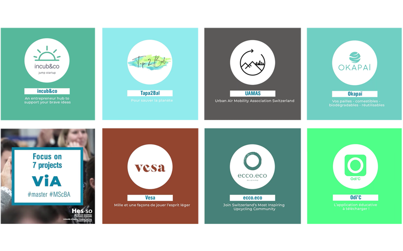 Focus On Ventures In Action Via Projects 2020