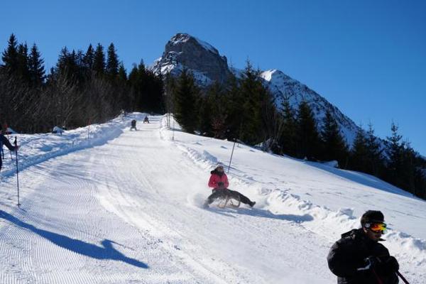 DFM2019-sledging