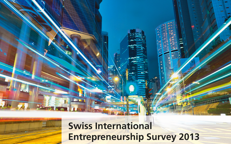 Sies Rapport 13 It Cover