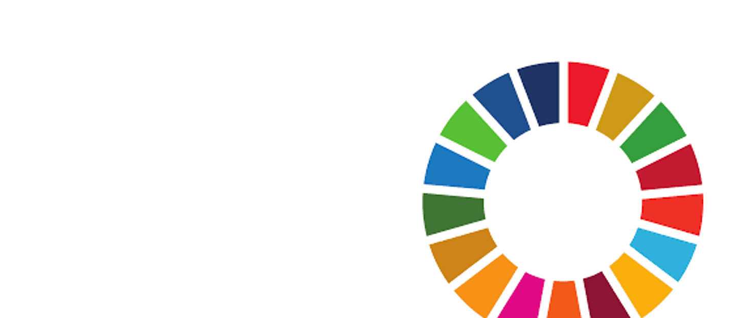 Sdg Website
