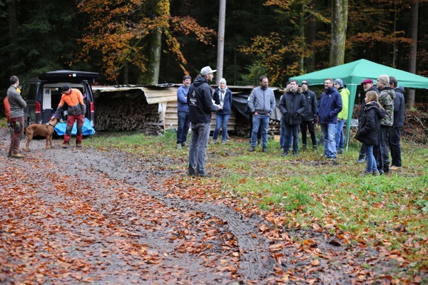 HEG-FR plante des arbres -  groupe
