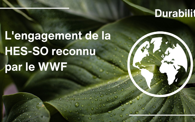 WWF FB Et LKDN