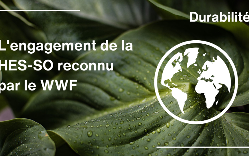 WWF FB Et LKDN