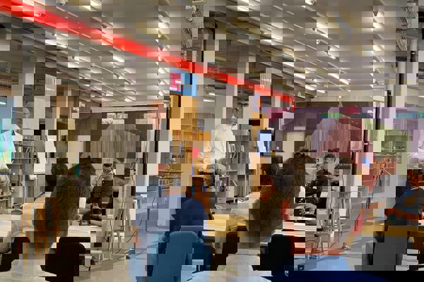 Innovation Lab GEM Report