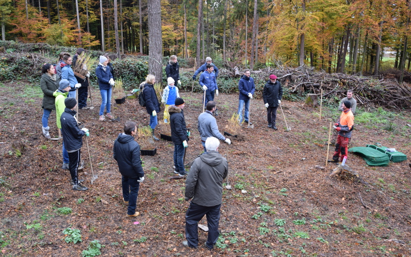 La HEG-FR plante des mélèzes sortie équipe HEG-FR forêt arbres