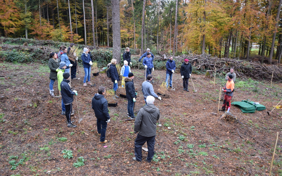 sortie équipe HEG-FR forêt arbres