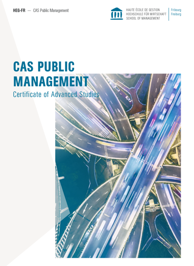 CAS Publicmanagement 17 Fr Cover