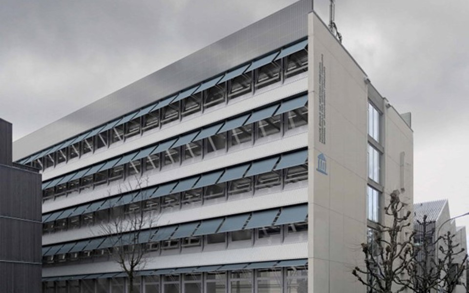 Projet Magnolia © Made in Sàrl 