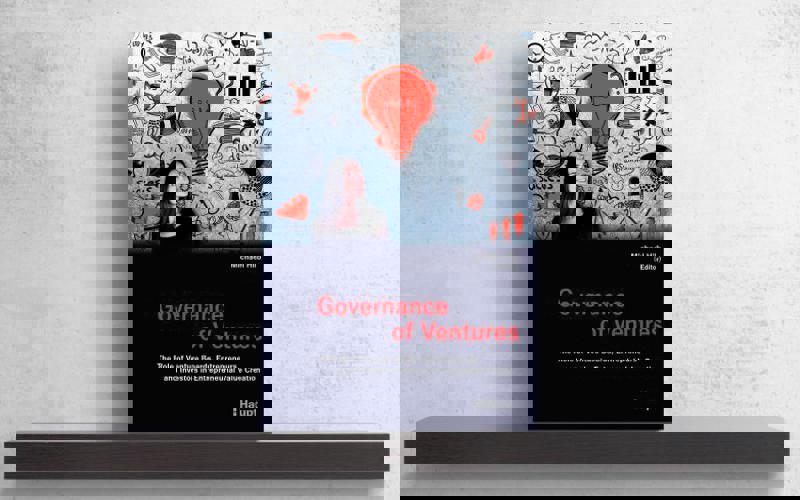 Governance Of Ventures
